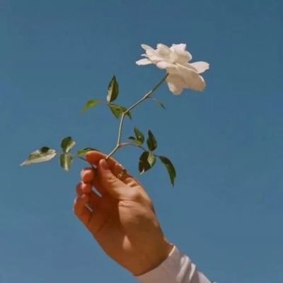 圣域浩劫腾讯版下载